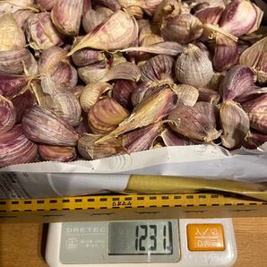 香川県産 生にんにく バラ最後
