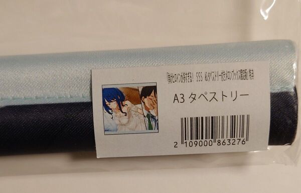 負けヒロインが多すぎる! SSS メロンブックス限定版 特典 A3タペストリー マケイン