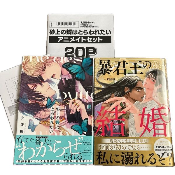 rasu 暴君王の結婚 夕波楓 砂上の蝶はとらわれたい アニメイト有償特典小冊子 ペーパー BLコミック ボーイズラブ アラブBL