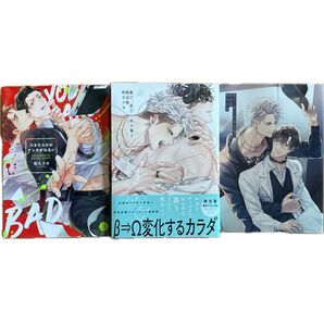 秋久テオ スキだらけのアンタがわるい 愛だ、恋だの処方箋 2 限定版 小冊子 BLコミックボーイズラブ オメガバース