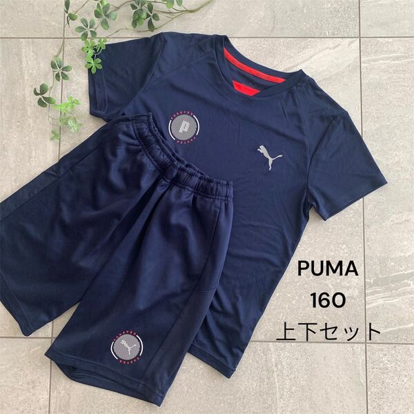 PUMA プーマ キッズ ジュニア 160 Tシャツ ハーフパンツ セットアップ