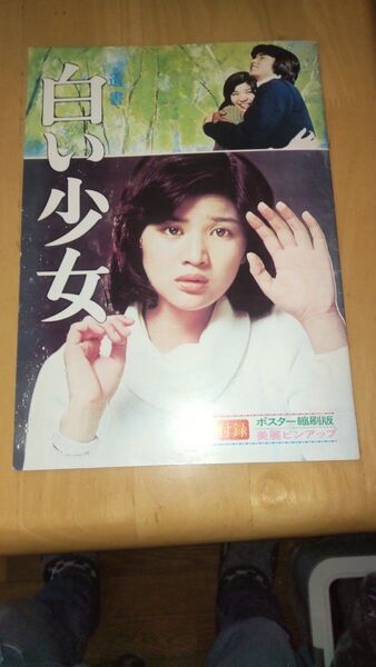 白い少女・凍河桜田淳子・中村雅俊パンフレット1枚付録無しです。