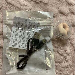 ノイズキャンセリング付きイヤホン