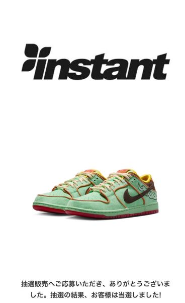 Nike SB Dunk Low Pro "Tourmaline" 25cm