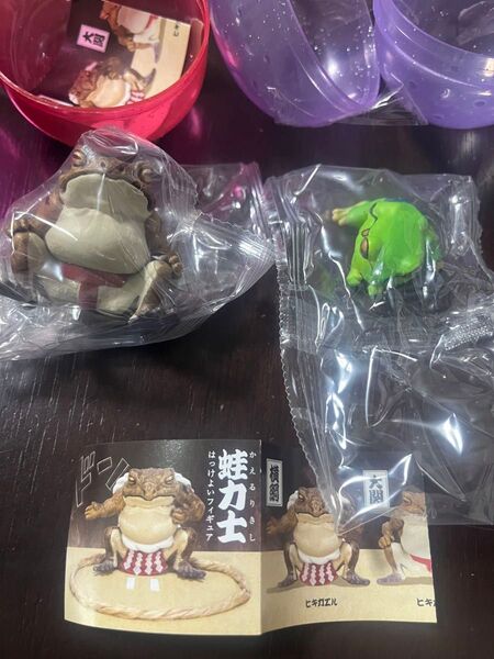 蛙力士 はっけよいフィギュア 大関 ヒキガエル 小結 アマガエル3 ガチャ ミニフィギュア カエル かえる 生きもの