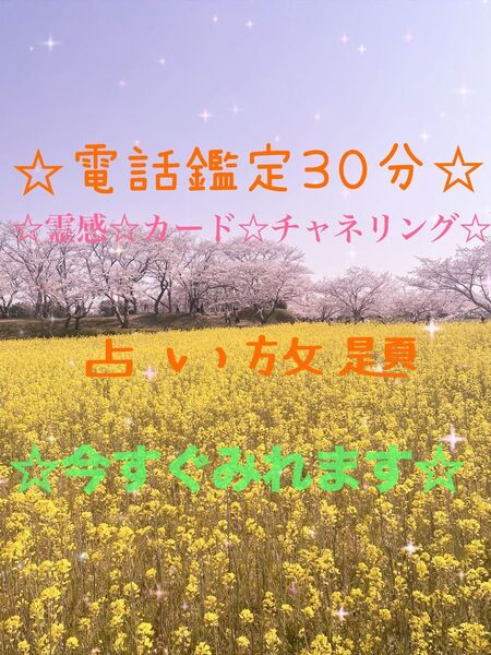 電話占い30分☆鑑定中はお返事が遅れますが、ご希望時間をコメント欄にお願いします^ ^