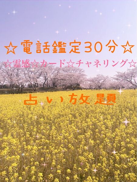 電話占い30分☆鑑定中はお返事が遅れますが、ご希望時間をコメント欄にお願いします^ ^