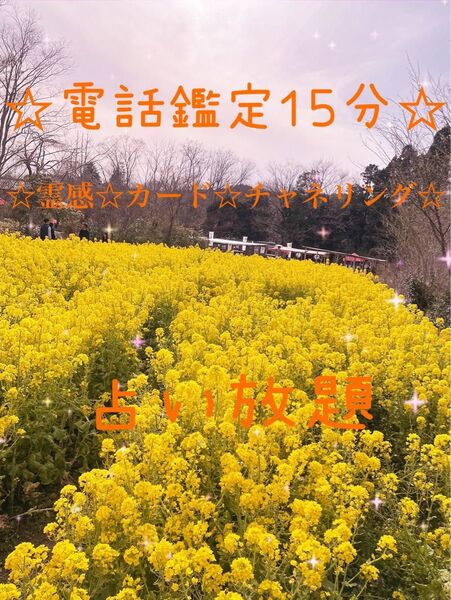 電話占い15分★鑑定中はお返事が遅れますが、ご希望時間をコメント欄にお願いします^^