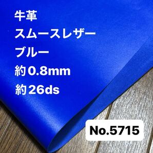 5715革ハギレ はぎれ 端切れ 本革 牛革 革 レザー クラフト 生地 素材 材料 ハンドメイド