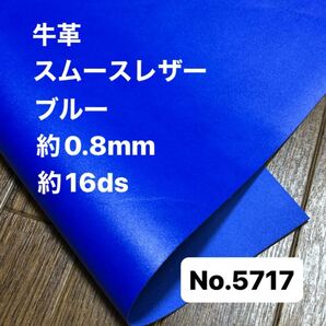 5717革ハギレ はぎれ 端切れ 本革 牛革 革 レザー クラフト 生地 素材 材料 ハンドメイド
