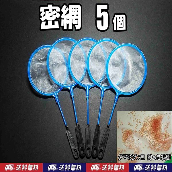 密網 ネット 5個 丸型S S 新品 メダカ ミジンコ 掃除用に 水槽用品 5本