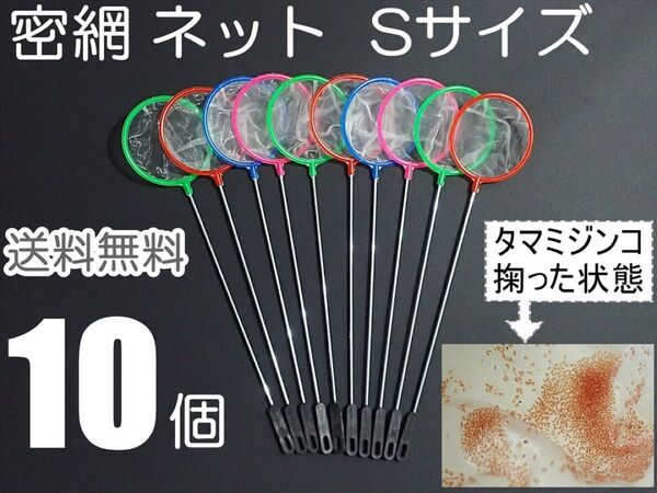 密網 ネット 10個 丸型S 新品 メダカ ミジンコ 掃除用に 水槽用品