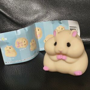 ハムスター キンクマ キンクマハムスター やわもっち もぐもぐ