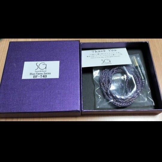 【試聴のみ】SoundsGood BlueFlame 2pin4.4mm