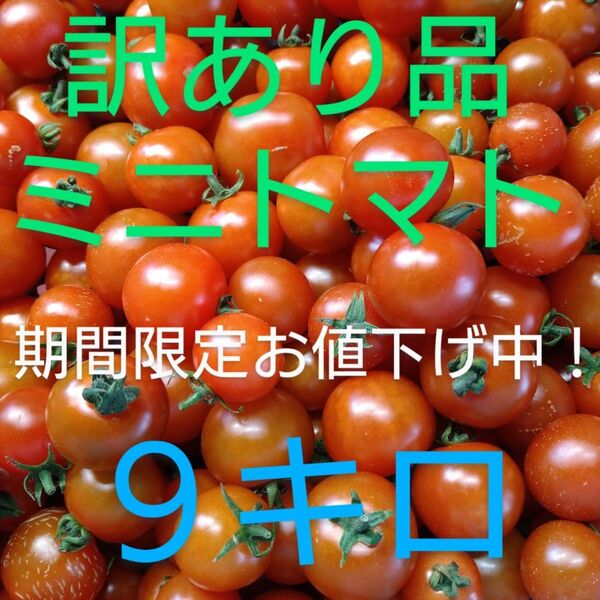 【大特価!大容量!!】訳あり ミニトマト 規格外品 産地直送