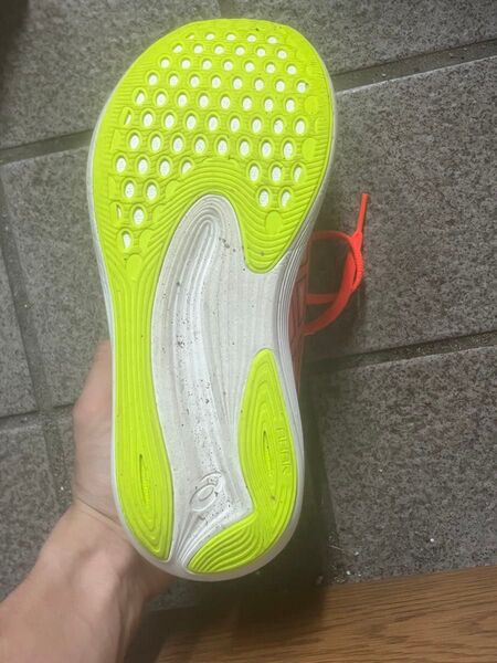 ASICS エボライドスピード 25cm