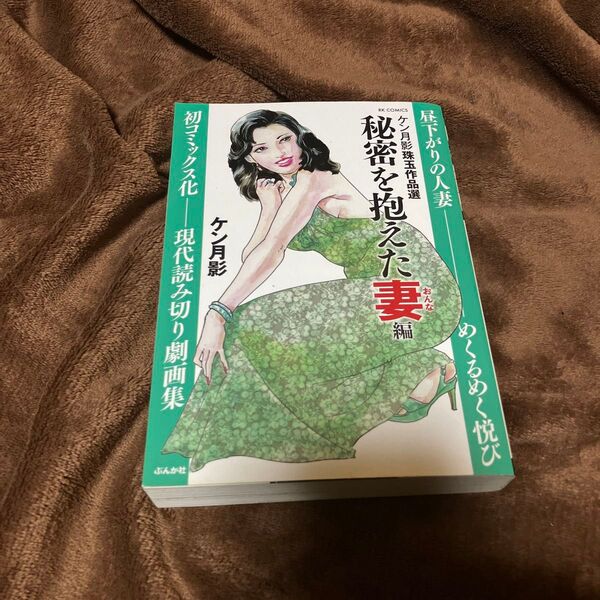 ケン月影珠玉作品選 秘密を抱えた妻編 (RK COMICS) ケン月影