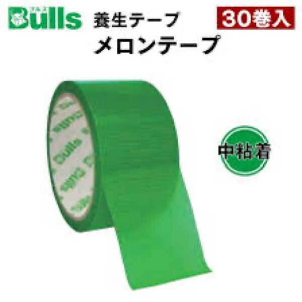 Bulls ブルズ 養生テープメロンテープ 中粘着 PEクロス 幅48mm×長さ25m 緑 グリーン 30個入