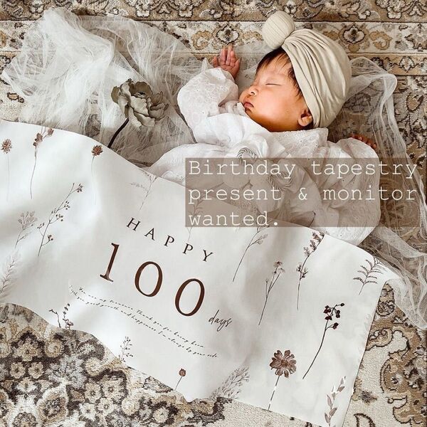 フォト飾り HAPPY 100days タペストリー 写真映え 赤ちゃん 誕生祝 ベビー 新生児 SNS 思い出 写真 ビデオ 布