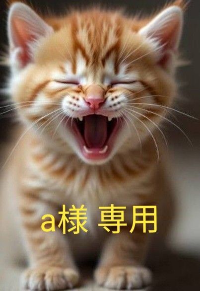 a様 専用