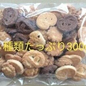 ◆ 昭栄堂製菓 訳あり神戸のクッキー300g ◆5種類 訳あり 無選別 工場直送 アウトレット●値引き交渉不可●即日発送OK