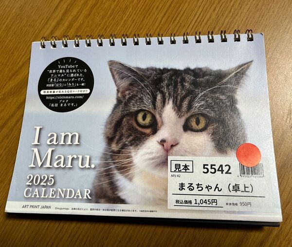 まるちゃん カレンダー 2025年 I am Maru 見本品