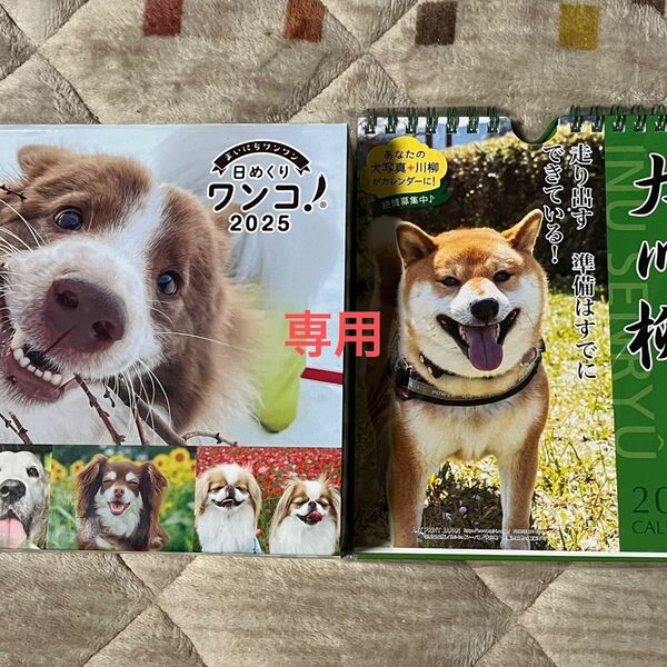 犬川柳(週めくり) 、日めくりワンコ カレンダー 2025年
