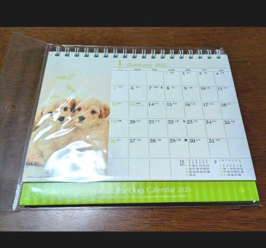 仔犬 卓上カレンダー 2025年 犬カレンダー