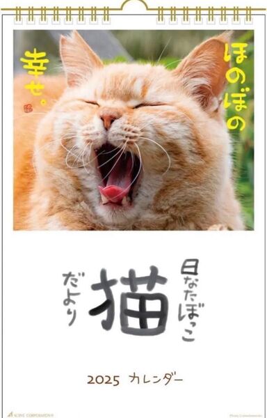 2025年 日なたぼっこ猫だより カレンダー 壁掛け
