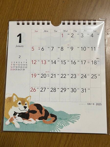 犬と猫の毎日 2025年 卓上カレンダー 803-57 G.C.PRESS