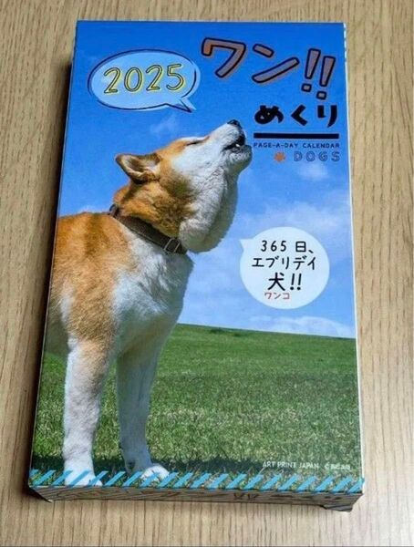 ワン!!めくり カレンダー 2025年■犬 めくり/ワンコ 日めくり