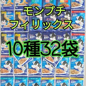 【10種32袋】モンプチ フィリックスセット 総合栄養食