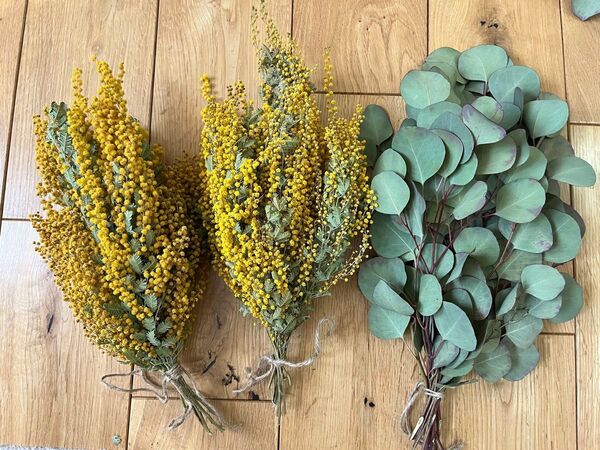 花材*ミモザとユーカリポポラスの詰め合わせ ドライフラワー花材 ハンドメイド材料ドライフラワースワッグ