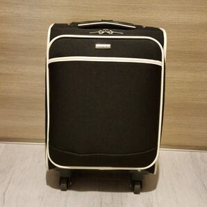a.v.vキャリーバッグ キャリーケース サイズS 縦: 約44cm 横: 約32cm 幅: 約23cm