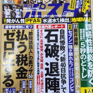 週刊ポスト 2024年 11月15日号