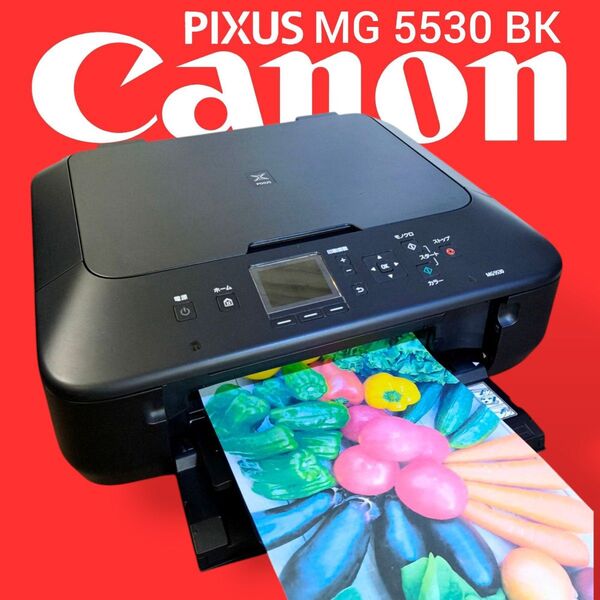 【使用枚数少】Canon カラープリンター PIXUS MG5530 BK
