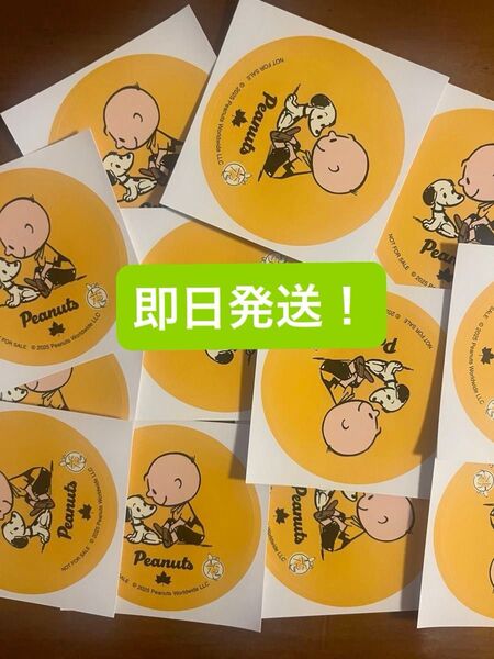 【ロゴスフェスタ限定ステッカーセット】SNOOPY LOGOS ステッカー×10枚