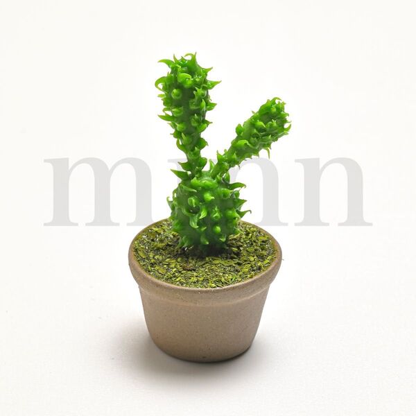 【未開封】世界の奇妙な植物たち バニーカクタス カプセルトイ ガチャ フィギュア