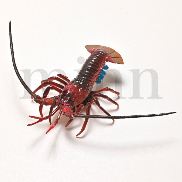【未開封】Nature of Japan 日本のいきもの 1 イセエビ NTC ネイチャーテクニカラー カプセルトイ ガチャ