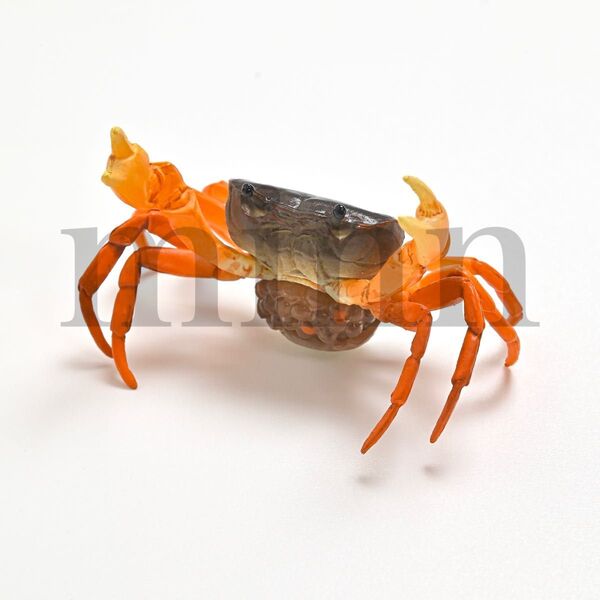 【未開封】Nature of Japan 日本のいきもの 2 NTC ネイチャーテクニカラー サワガニ カプセルトイ ガチャ