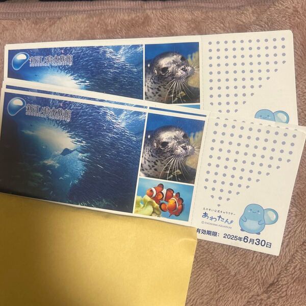 新江ノ島水族館 招待券 8枚 有効期限2025年6月30日