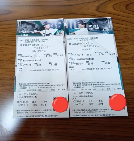 日本生命セパ交流戦 西武ライオンズvs中日ドラゴンズ チケット2枚