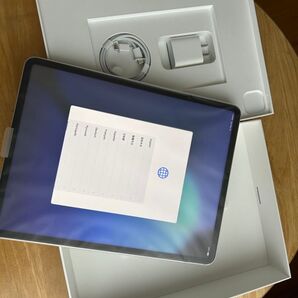 【本日限定】美品 iPad Pro 12.9インチ 第5世代 Wi-Fi+Cellular256GB SIMフリー シルバー