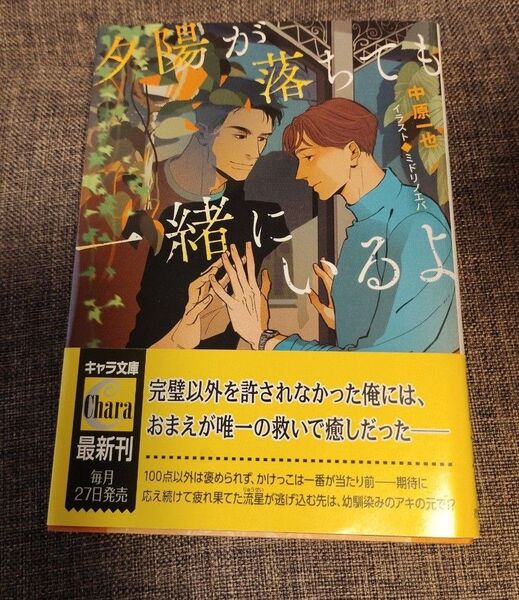 bl小説★中原一也/夕日が落ちても一緒にいるよ