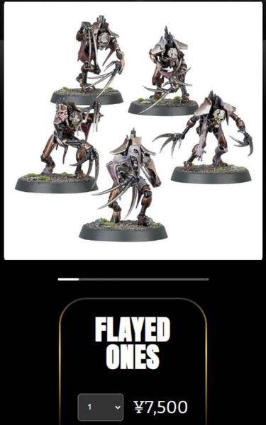 ネクロン: フレイドワン 『剥皮者』 ウォーハンマー40.000 Necrons: Flayed Ones