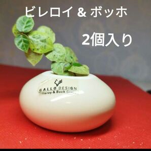 新品 ビレロイ & ボッホ ガロデザイン 一輪挿し ミニ花瓶2個