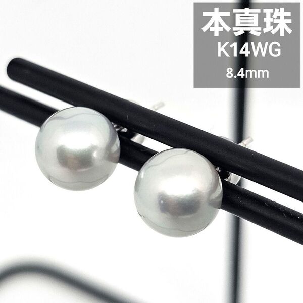 K14WG 14金 パール ピアス 真珠 キャッチピアス パールピアス 本真珠 8.4mm シルバーグレー レディース