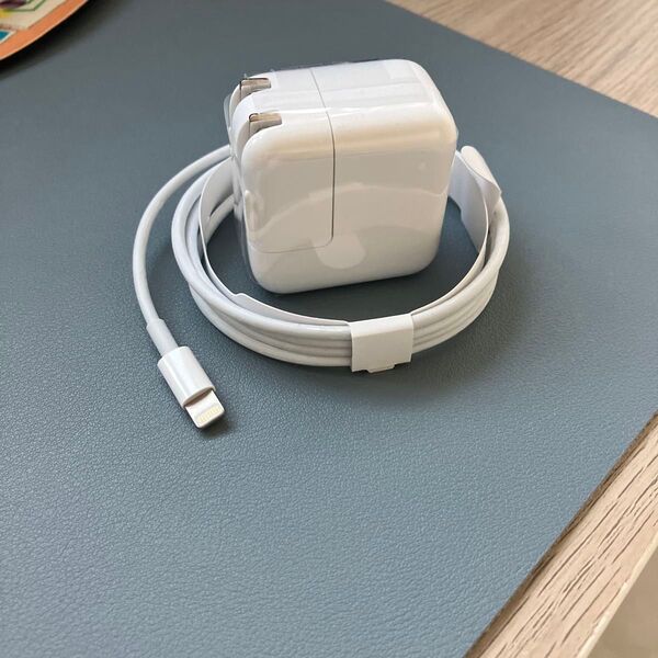 iPad 充電機 ケーブル 未使用品 Apple