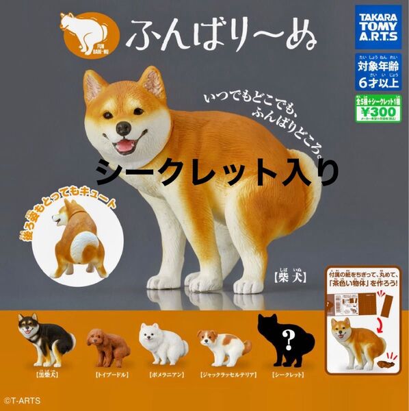 シークレット入り ふんばり〜ぬ 全6種 フルコンプ ふんばりーぬ ガシャポン