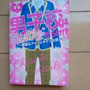 男子校は甘いワナだらけ!?~俺様なアイツとキケンな恋~